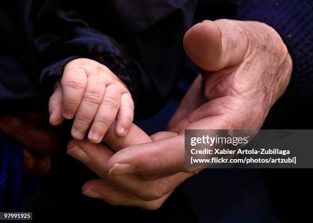 grandfather - großeltern stock-fotos und bilder