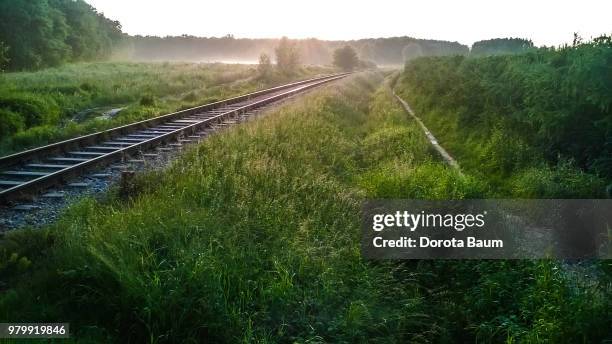 foggy evening - train tracks and nature foto e immagini stock