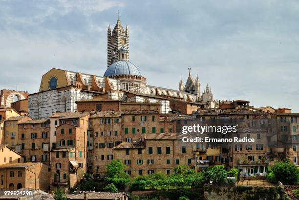 panorama su siena - radice stock pictures, royalty-free photos & images