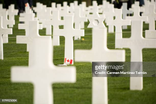 the normandy american and canadian cemetery in colleville-sur-mer - war veteran bildbanksfoton och bilder