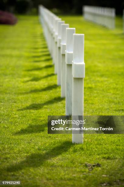 the normandy american cemetery in colleville-sur-mer - normandy-american-cemetery-and-memorial stockfoto's en -beelden