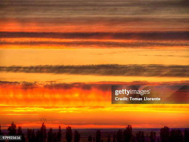 atardecer entre lineas - llorente fotografías e imágenes de stock