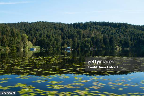 Colvert Rive 296 Calvert River Stock Photos, High-Res Pictures, and Images - Getty ...