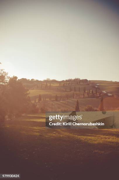 serpens - serpens stock pictures, royalty-free photos & images