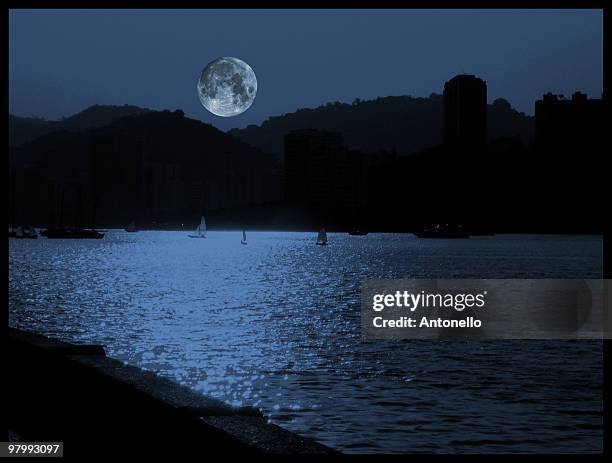 moonlight - mondlicht stock-fotos und bilder