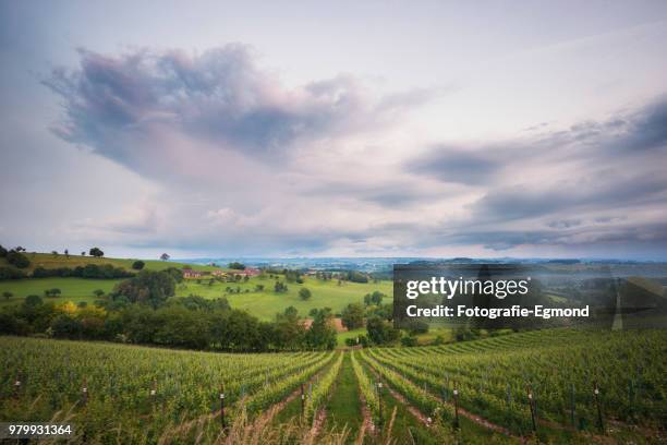 vineyard with approaching thunderstorm, belgium - flandres belgique photos et images de collection