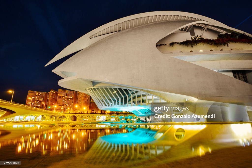 City of Arts and Sciences by Santiago Calatrava architect.