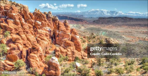 moab - conklin stock pictures, royalty-free photos & images