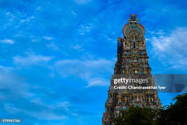 the meenakshi amman temple in tamil nadu, india. - sri meenakshi hindu temple stock pictures, royalty-free photos & images