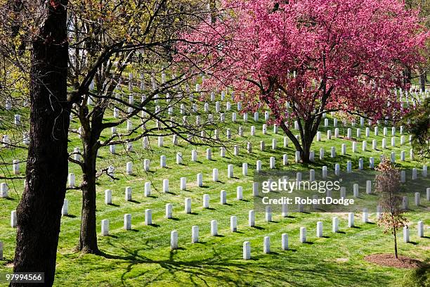arlington national cemetary - veteran memorial stock pictures, royalty-free photos & images