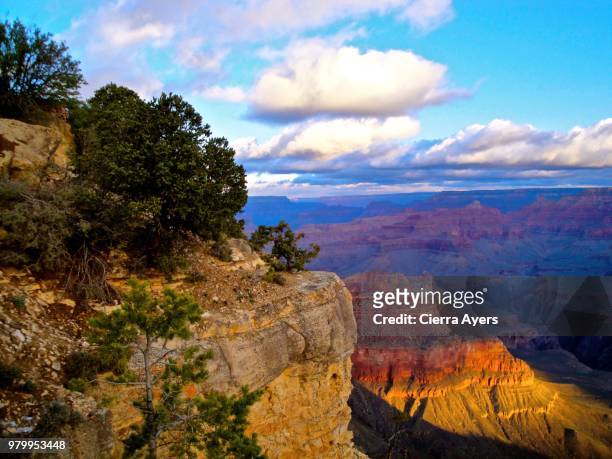 solitude and serenity at the north rim of the grand canyon overlook, located in arizona - black rock desert stock pictures, royalty-free photos & images