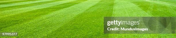 green grass - mowed lawn stock pictures, royalty-free photos & images