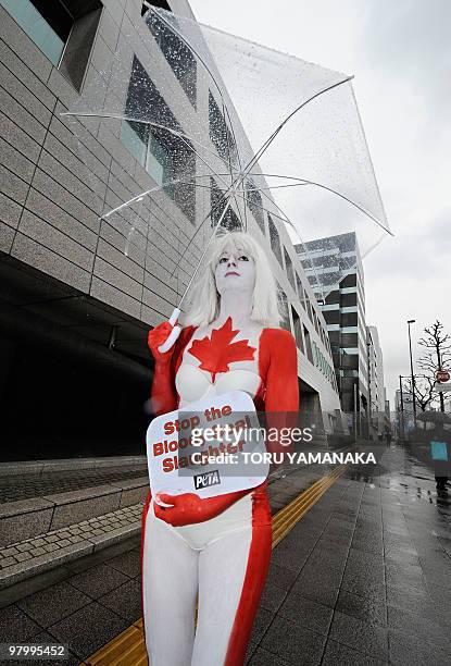 Female animal-rights activist Ashley Fruno, covered with a body-painting to look like the Canadian flag, takes part in a one-woman anti-sealing...