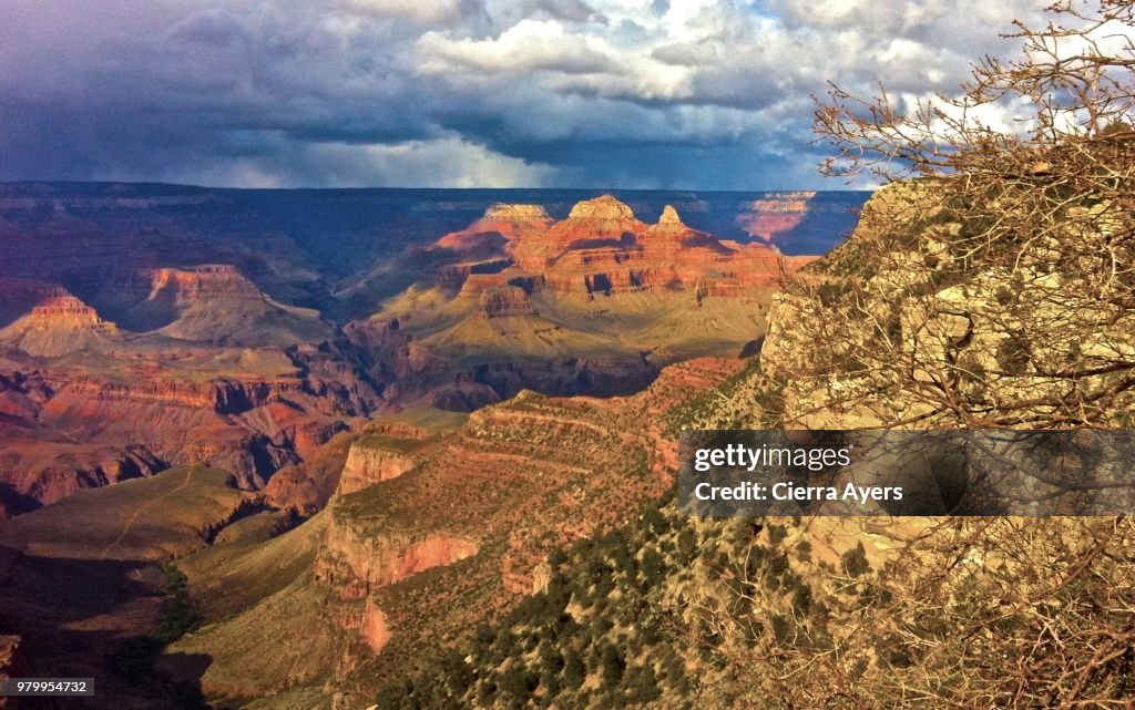 Solitude and serenity at the North Rim of the Grand Canyon overlook, located in Arizona