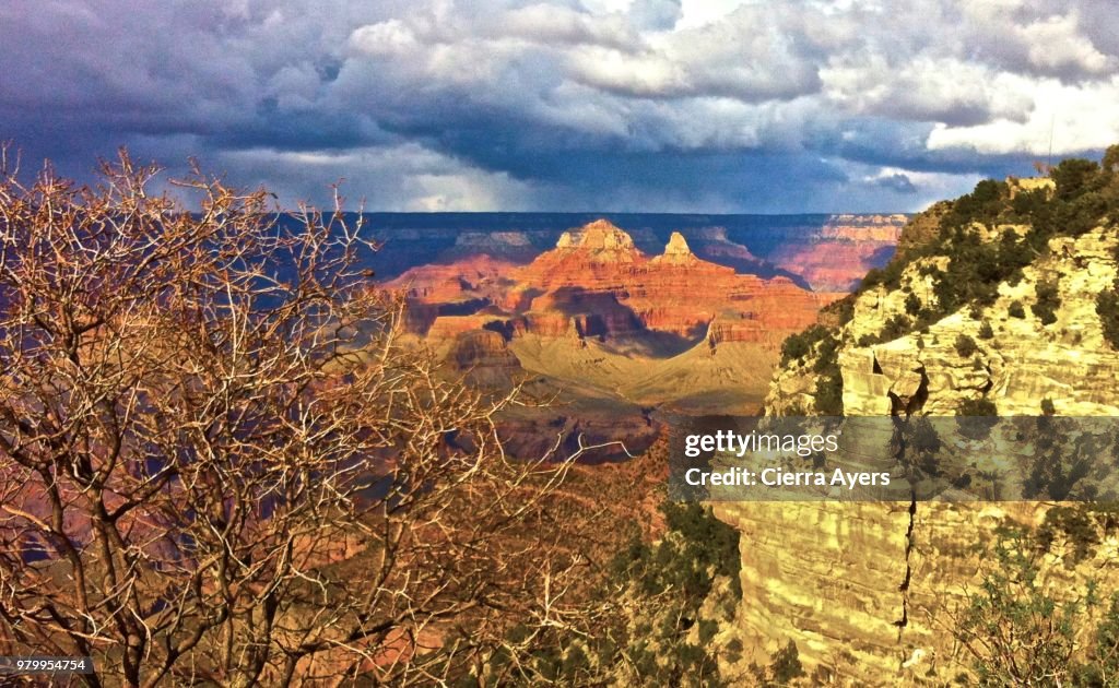 Solitude and serenity at the North Rim of the Grand Canyon overlook, located in Arizona
