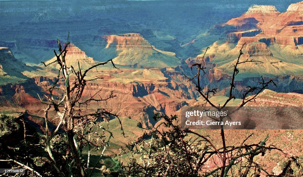 Solitude and serenity at the North Rim of the Grand Canyon overlook, located in Arizona