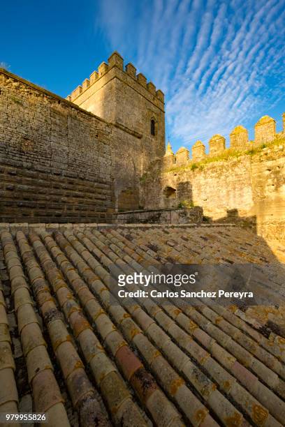 history in spain - mudéjar stock pictures, royalty-free photos & images
