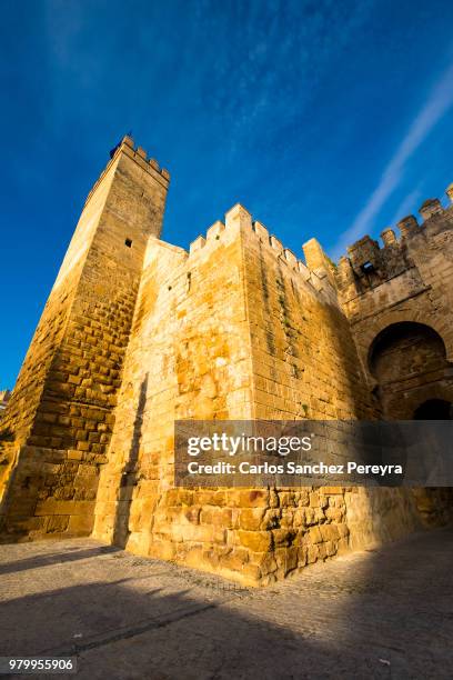 history in spain - carmona stock pictures, royalty-free photos & images