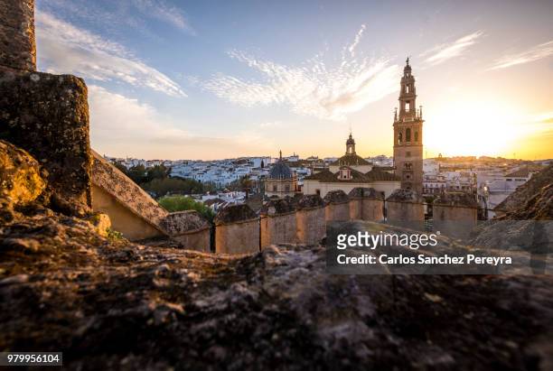 panoramic of carmona - carmona stock pictures, royalty-free photos & images