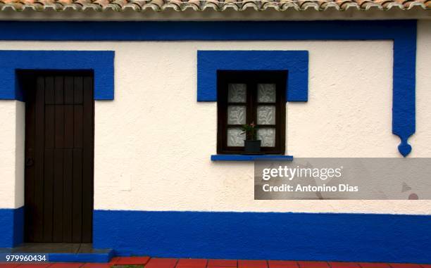 white and blue facade of traditional house, ribeira da azenha, alentejo, portugal - alentejo photos et images de collection