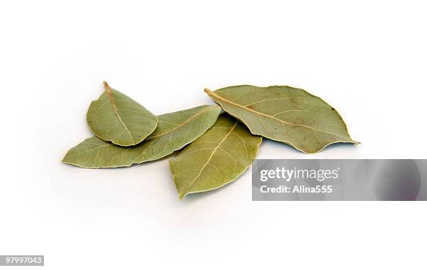 dry bay leaves on white - bay stock pictures, royalty-free photos & images