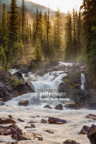 Kicking Rocks Stock Image Kicking Rocks Photos and Premium High Res Pictures - Getty Images