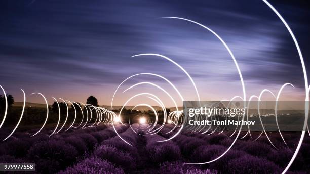 lavender field at night - light trail nature stock pictures, royalty-free photos & images