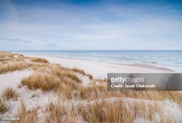 the beach - beach dunes foto e immagini stock