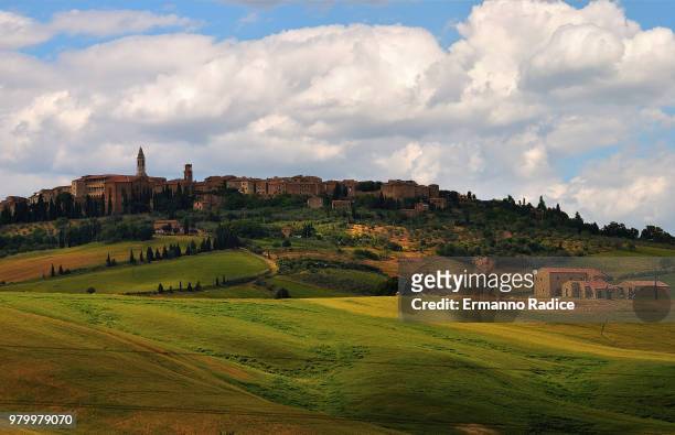 pienza - radice stock pictures, royalty-free photos & images