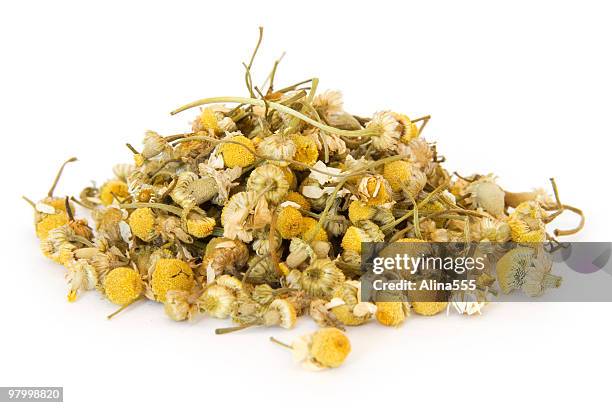 pile of chamomile on white - chamomile plant bildbanksfoton och bilder