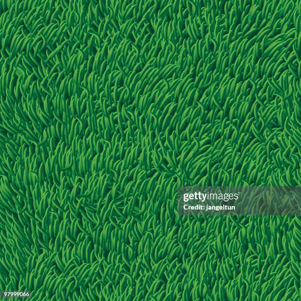 grass - seamless (high detail) - turf stock illustrations