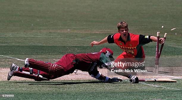 Bryan Strang of Zimbabwe runs out Daren Ganga of the West Indies for six during the Carlton Series One Day International between West Indies and...