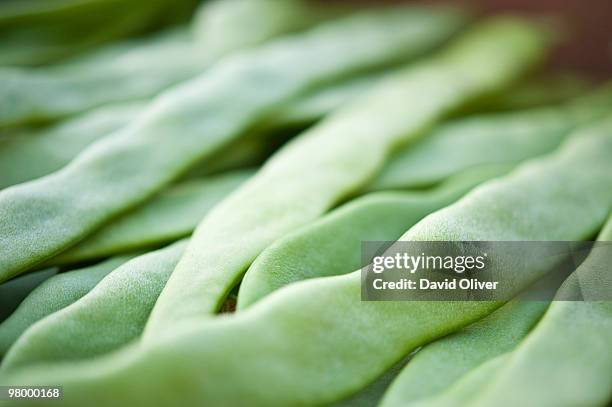 runner beans - veg out stock-fotos und bilder