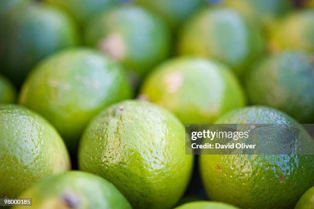 limes - veg out stock-fotos und bilder