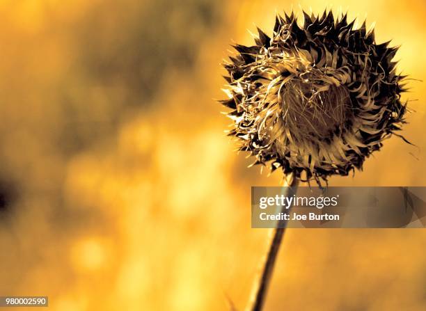 Retrospect View 482 Retrospect Stock Photos, High-Res Pictures, and Images - Getty Images
