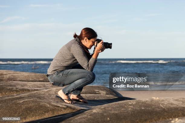 a female photographer taking photos on the beach - photographer seascape stock pictures, royalty-free photos & images
