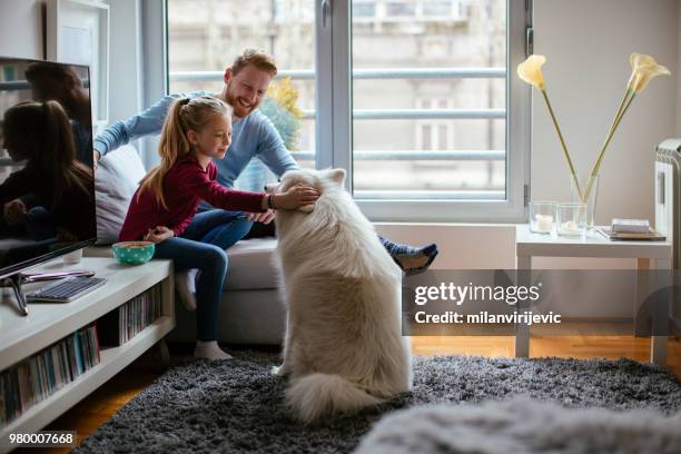 solo papá jugando con su hija y su perro - cultura escandinava fotografías e imágenes de stock