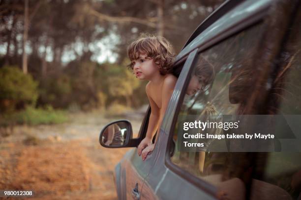 boy with head out of the car window - vista dalla parte posteriore di un veicolo foto e immagini stock
