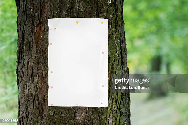 tree poster - tree trunk stockfoto's en -beelden