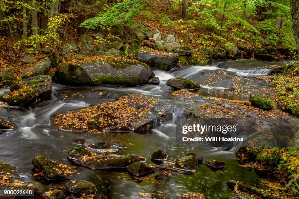 Somesville Maine High-Res Stock Photo