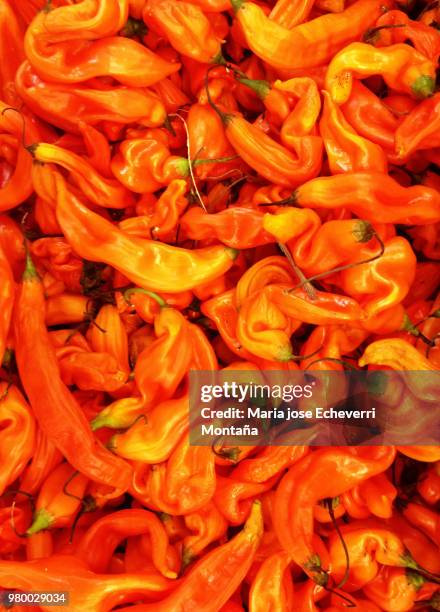 aji - montaña stock pictures, royalty-free photos & images