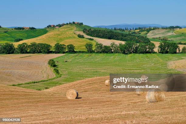 hay bales in field, crete senesi, tuscany, italy - radice stock pictures, royalty-free photos & images