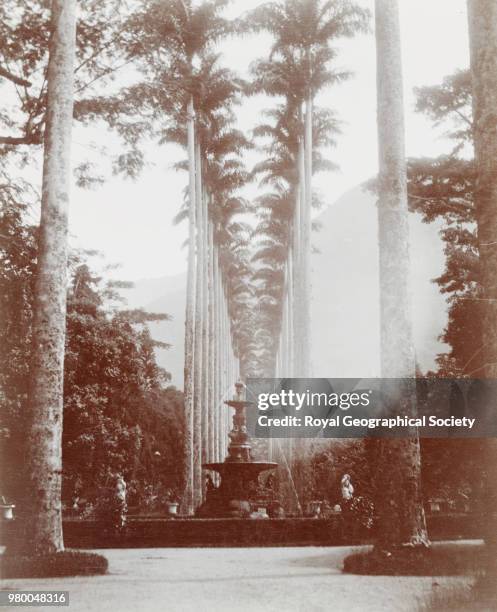 Botanical Gardens, Rio de Janeiro, Brazil, 1900.