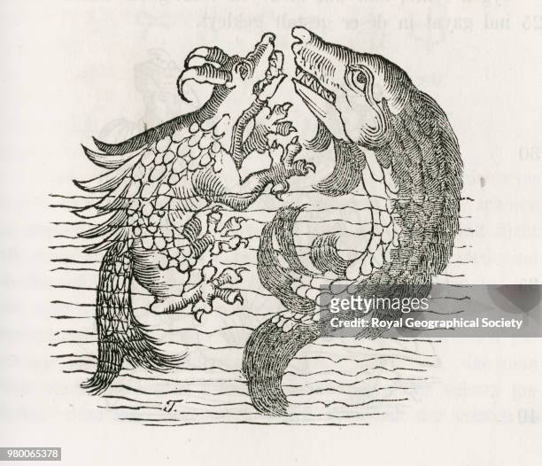 Drawing of sea monsters, From page 137 of 'Die pilgerfahrt des Ritter's Arnold von Harff von Cöln durch Italien, Syrien, Aegypten, etc., ... Wie en...
