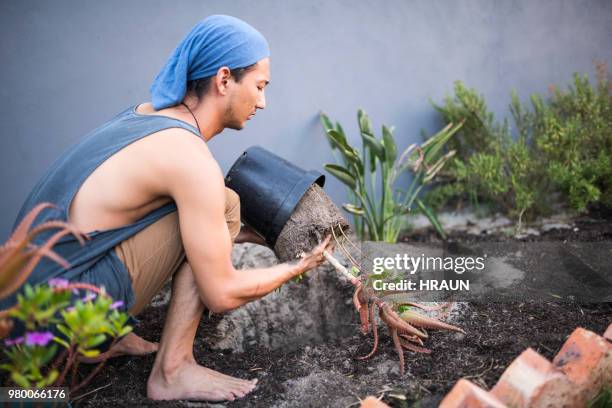 man removing plant from pot in yard - pot plant stock pictures, royalty-free photos & images