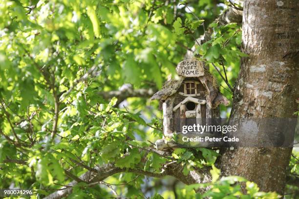 birdhouse in tree - conveyancing stock pictures, royalty-free photos & images
