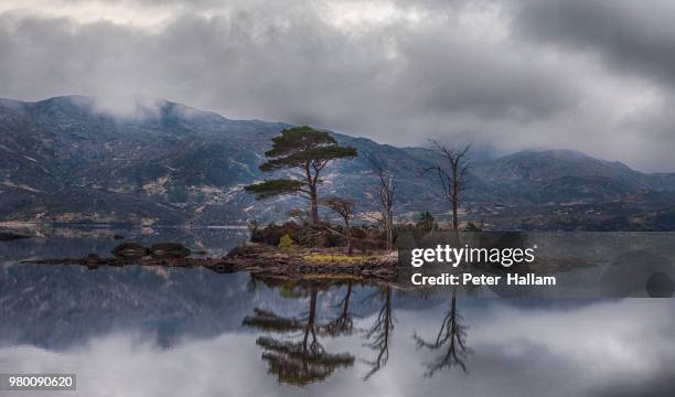 loch assynt ii - loch assynt stockfoto's en -beelden