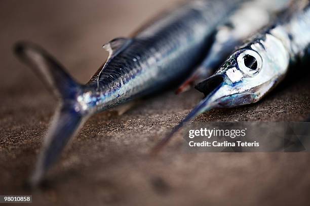 Small Fish Sword 371 Fish Sword Stock Photos, High-Res Pictures, and Images - Getty Images