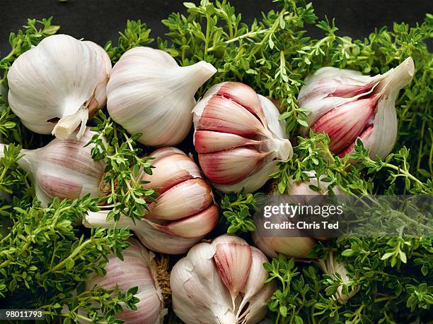 whole garlic cloves amongst thyme - coq fotografías e imágenes de stock