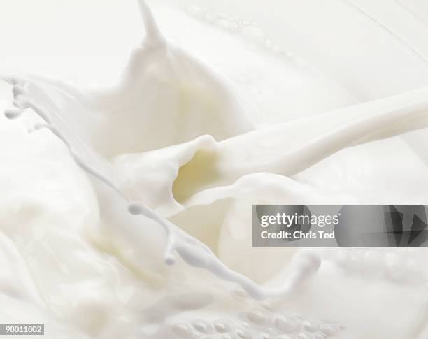 splashing poured milk - milk stock-fotos und bilder
